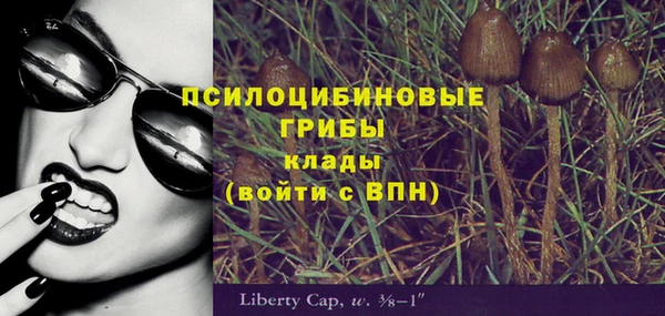 гашиш Белокуриха