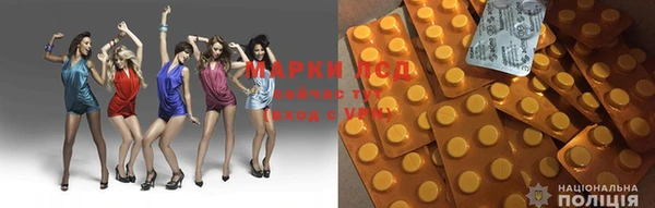 apvp Беломорск