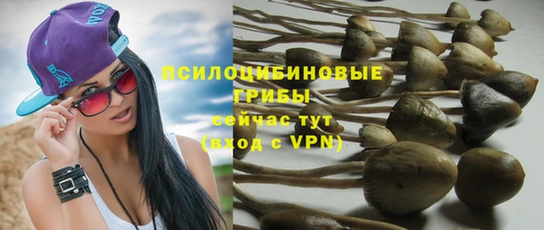 ешки Белоозёрский